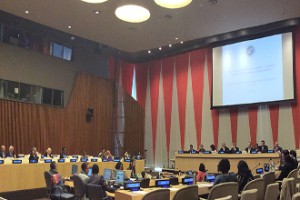 Consejo-Económico-ECOSOC-04-29-2015