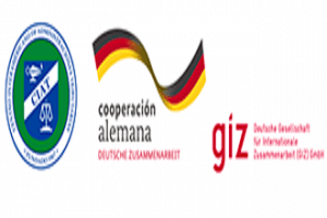 logos_logo-ciat-giz