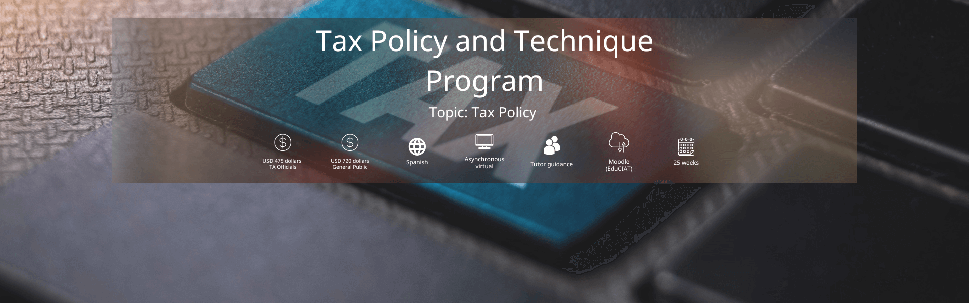 Tax Policy and Technique Program